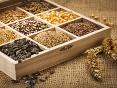 Покупка семян онлайн: как выбирать семена в интернет магазине