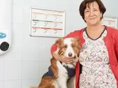 Ветеринарные клиники Москвы: Надежная забота о ваших питомцах