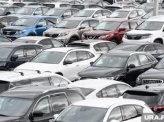 Вице-губернатор Ростовской области стал ответчиком по иску Генпрокуратуры из-за незаконной предпринимательской деятельности