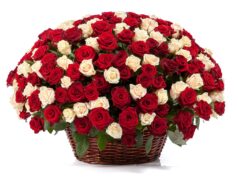 Букет роз в корзине: стильная композиция и уход