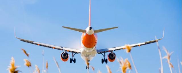 Авиакомпания easyJet судится с музыкальной группой Easy Life из-за названия