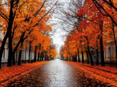 Вильфанд: На Кубани температура будет находиться на уровне 17-19 градусов