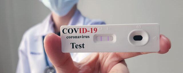 Доцент РУДН Вознесенский: COVID-19 постепенно переходит в разряд сезонных ОРВИ