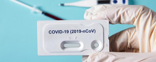 Экспресс-тест на COVID-19 в аэропортах Египта обойдется в 20 долларов