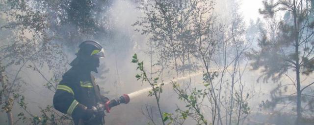 На Дальнем Востоке потушили все лесные пожары