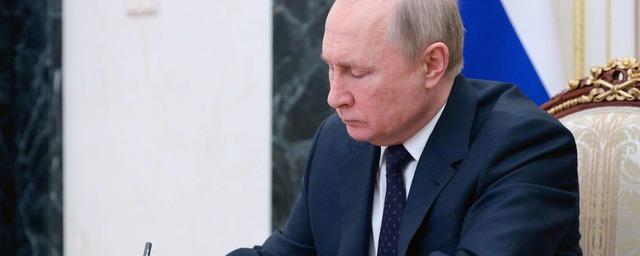 Владимир Путин объявил благодарность блогерам Дмитрию Пучкову, Юрию Подоляке и Михаилу Онуфриенко