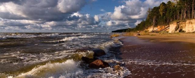 YLE: в Балтийском море у берегов Финляндии обнаружили окуня, способного кусать людей